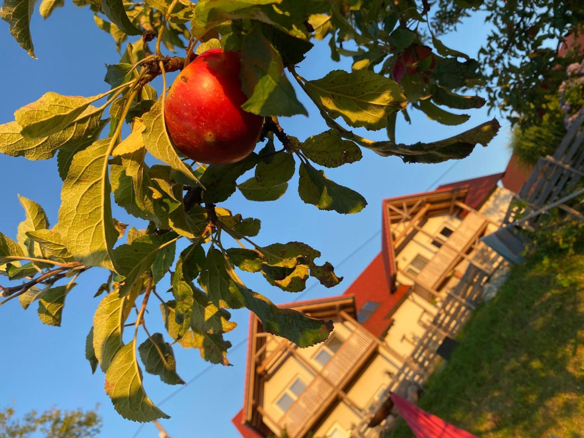 Fugger Alm Aparthotel Weichselbaum Екстериор снимка