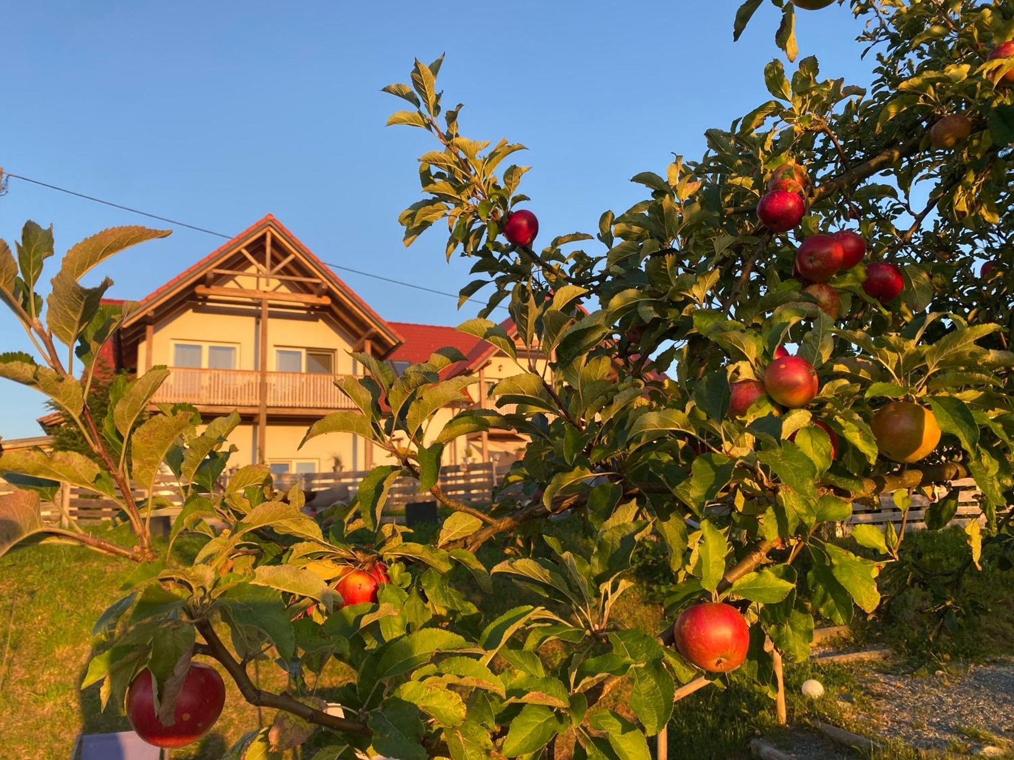 Fugger Alm Aparthotel Weichselbaum Екстериор снимка